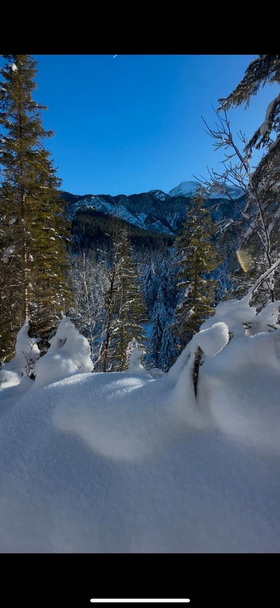 Haus Mit Wunderschoenem Ausblick Und Garten Garmisch-Partenkirchen Exteriör bild